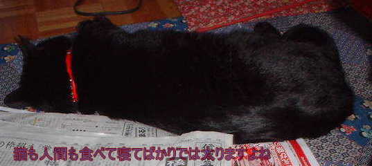 �L�@�悱�ɂȂ胊���b�N�X